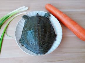 甲鱼外卖刚送到。