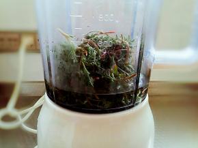 取嫩叶部分，洗净用淡盐水泡泡杀杀菌，放入料理机中，加少许水，打成菜汁。