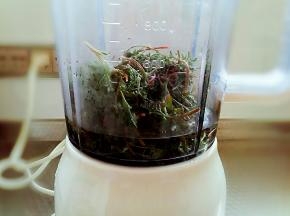 取嫩叶部分，洗净用淡盐水泡泡杀杀菌，放入料理机中，加少许水，打成菜汁。