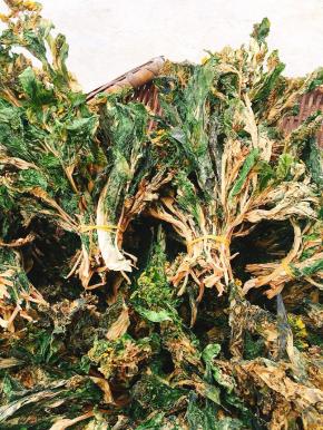 整理好的菜干找一个大一点儿的方便袋装起来，密封紧，以免回潮！吃的时候提前泡软，即可拿来炒着吃了！