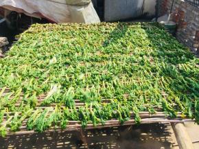 把白菜苔码在晒架上！（我们农村几乎家家户户都有这个晒架，如果是城里人没有这个晒架，也可以先把菜苔挂在衣架上，再挂在阳台上晾晒！）