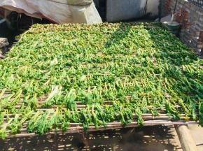 把白菜苔码在晒架上！（我们农村几乎家家户户都有这个晒架，如果是城里人没有这个晒架，也可以先把菜苔挂在衣架上，再挂在阳台上晾晒！）