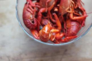 4，龙虾入开水中煮熟。小龙虾的尾部用剪刀剪一条缝，以便做时入味