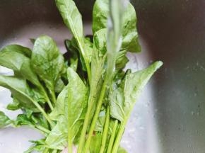 菠菜掰开来一根一根洗干净。