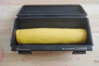 将面片从上而下卷起来，稍稍搓紧实，放入吐司盒里，35度发酵半小时。