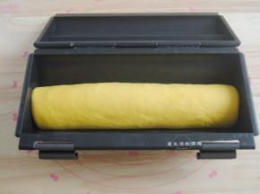 将面片从上而下卷起来，稍稍搓紧实，放入吐司盒里，35度发酵半小时。