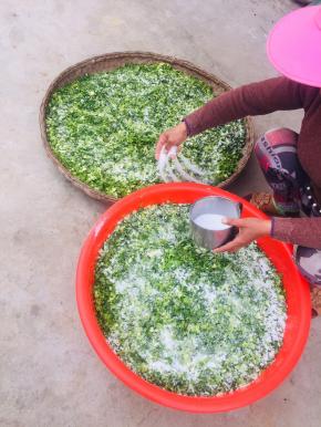 均匀的撒上适量的盐！（盐的量比正常炒菜的量多一点点就可以了！太咸了发苦，不好吃，太淡了容易腐烂！你可以撒盐揉好了尝一下味道再适量调整盐的用量！）