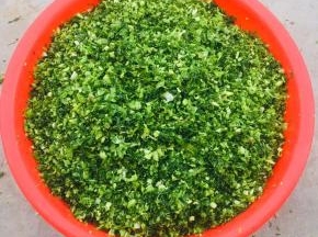 揉好的腊菜腌制20分钟左右！