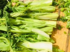 腊菜比较粗壮，所以先把腊菜改几刀，先切成片再切成小丁！这样就很容易切碎了！