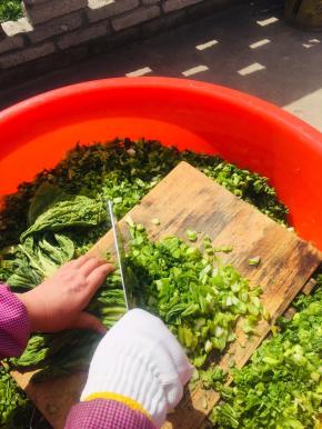 再挨刀儿切成细碎的小丁儿！（做盐菜切的越碎越好！）