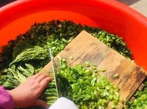 再挨刀儿切成细碎的小丁儿！（做盐菜切的越碎越好！）