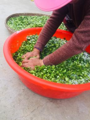 使劲儿的揉搓均匀，让盐充分的入味儿！