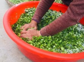 使劲儿的揉搓均匀，让盐充分的入味儿！