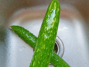 用削皮刀把黄瓜外面的刺给削了。