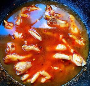 倒入适量清水刚刚没过鸡爪即可大火炖起来