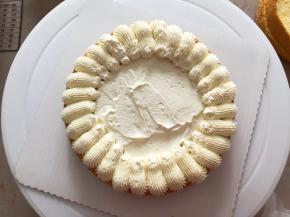 放上一片蛋糕片，中间抹上奶油，周边挤上花纹