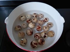 鹌鹑蛋放入锅里加适量的清水。