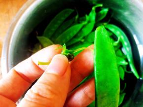 荷兰豆撕掉筋膜。