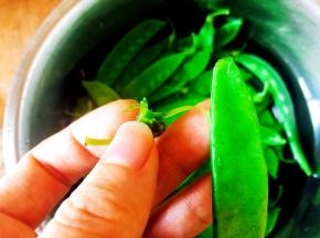 荷兰豆撕掉筋膜。