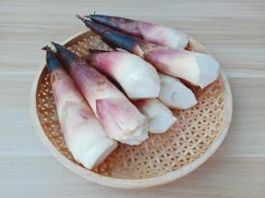 这是朋友送来的春笋。