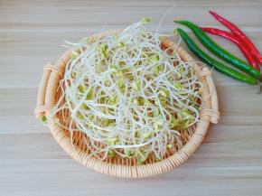 准备豆芽做一道五分钟快手下饭菜。
