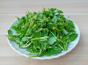 把草头切成小段。