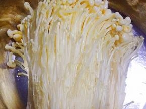 金针菇去蒂洗净摘成一根一根