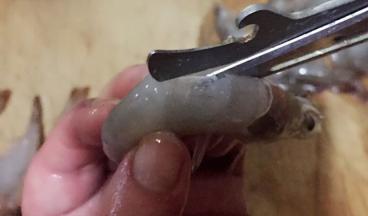 从虾的背部剪开