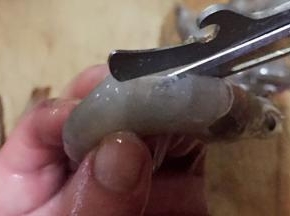 从虾的背部剪开