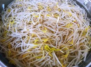 焯好水的豆芽立即放入冷水中过凉后沥干水份