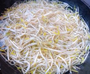 新鲜的豆芽洗净放入开水中焯水使豆芽断生即可