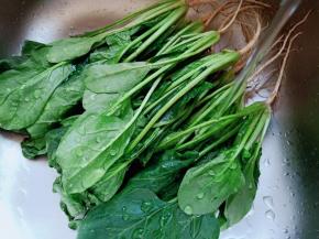 菠菜一片片清洗干净。