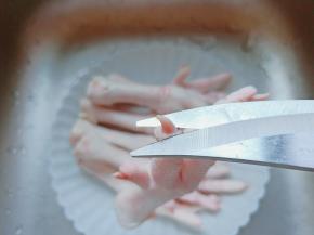 用剪刀剪去鸡爪的指甲。