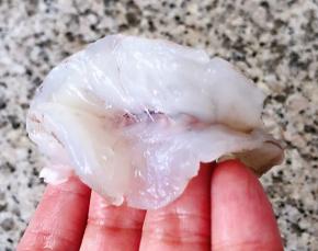 虾仁依次从背部括开取出虾线后洗净沥干水份