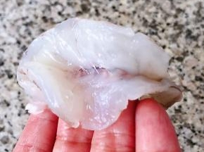 虾仁依次从背部括开取出虾线后洗净沥干水份