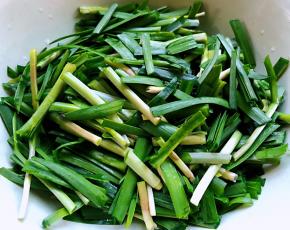韭菜切成段状