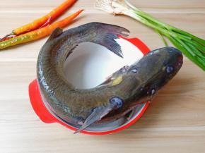 买了一条一斤多的鮰鱼。