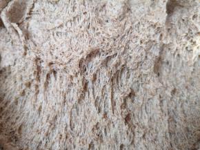 一个小时左右，面团就发酵好了，用手抓起面团底部看看，这就是面团发酵好的样子。