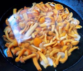 滑子蘑用清水洗净在开水中焯水后立即放入冷水中过凉多冲洗几遍滑子蘑的黏液后沥干水份