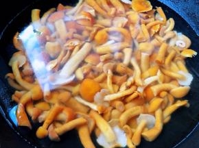 滑子蘑用清水洗净在开水中焯水后立即放入冷水中过凉多冲洗几遍滑子蘑的黏液后沥干水份