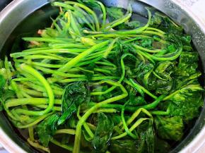菠菜摘好洗净放入开水中焯水断生即可立即放入冷水中过凉沥干水份