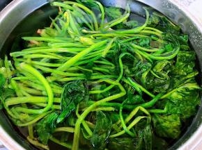 菠菜摘好洗净放入开水中焯水断生即可立即放入冷水中过凉沥干水份