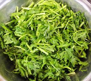 茼蒿摘好洗净沥干水份备用