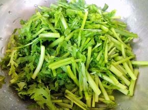 茼蒿洗净切成小段