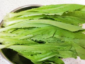 油麦菜叶子一片一片掰下来。