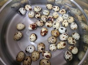 鹌鹑蛋清洗一下，凉水入锅，烧开以后中火煮5分钟，关火焖5分钟，捞出用凉水浸泡一下。