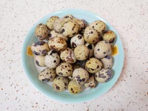 过过凉水的鹌鹑蛋捞出，放在一个大一点的盘子里。