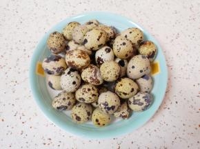 过过凉水的鹌鹑蛋捞出，放在一个大一点的盘子里。