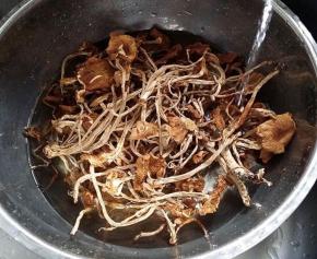 2.将茶树菇干放盆中用清水泡发2~3小时，  若是新鲜茶树菇则不用泡 ，泡软后用剪刀剪去根头部分、  再将粗大点儿的根茎对半撕开，这样吃起来会方便
