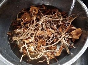 2.将茶树菇干放盆中用清水泡发2~3小时，  若是新鲜茶树菇则不用泡 ，泡软后用剪刀剪去根头部分、  再将粗大点儿的根茎对半撕开，这样吃起来会方便